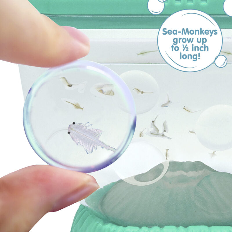 Sea-Monkeys Ocean Volcano - US 8488