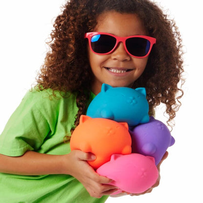 Super NeeDoh Cool Cats - US 9689